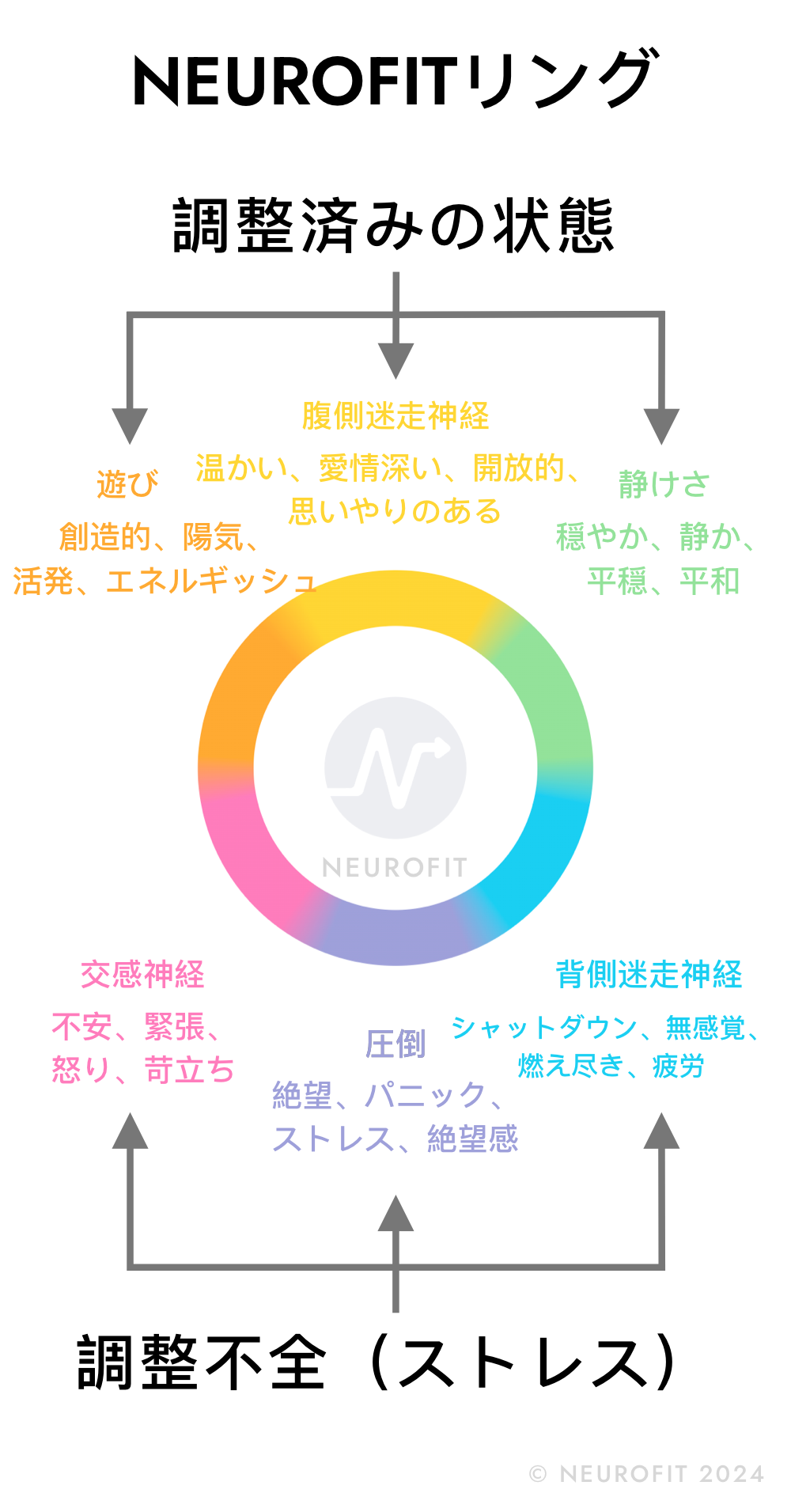 ソマティックワークアウトとは何ですか? | NEUROFIT ソマティックワークアウトとは何ですか? | NEUROFIT