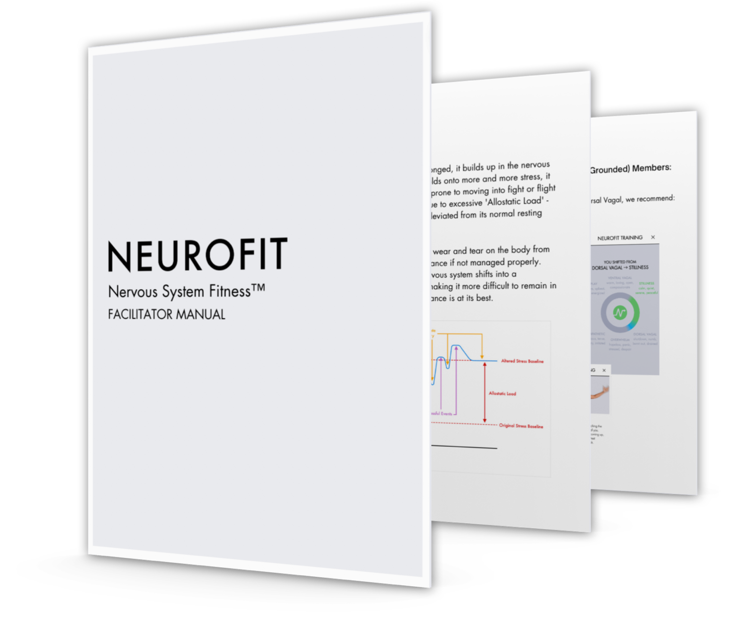 NeuroFit Gym  Neuro Fitness Foundation